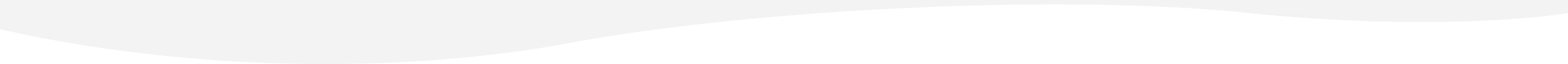 Designity-Decorative